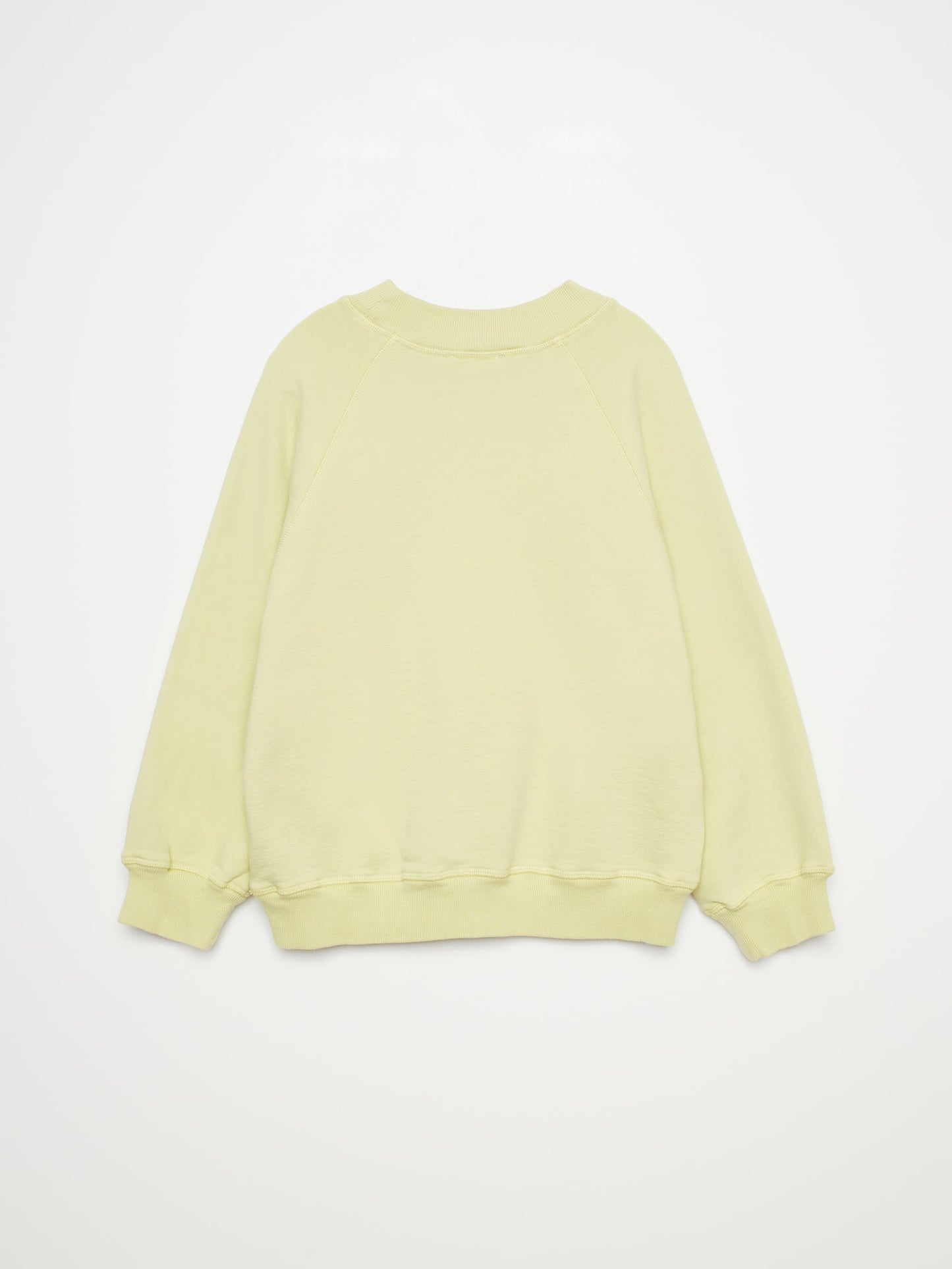 Sweatshirt nº01 Pale Green