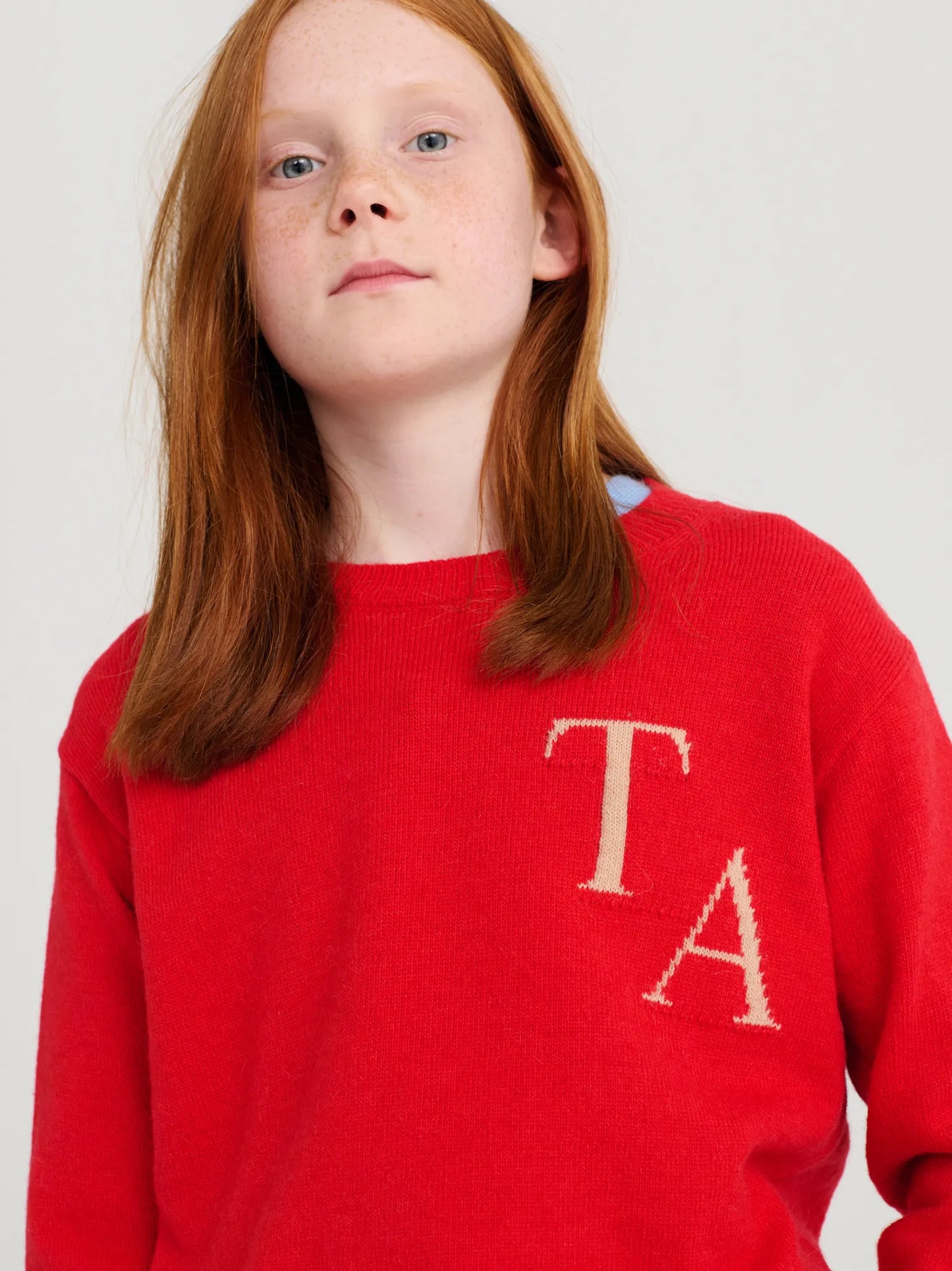 Jumper nº03 Autumn Fig